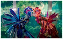 Boek zeepaardjes, waterdraakjes en vissen steltenlopers voor betoverend onderwater entertainment. Perfect voor festivals, winkelcentra en straattheater. Kleurrijk, interactief en magisch!”