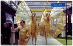 Schoonheid in Goud Parade: Een schitterende show vol beweging en muziek! ✨ Deze gouden parade brengt een mix van steltenlopers, danseressen, een contactjongleur en live muziek. Of het nu als straatparade, mobiele act of ontvangstact is, deze betoverende stoet zorgt voor een magische sfeer. Laat de artiesten sierlijk door de straten of locatie bewegen en geef uw gasten een unieke ervaring. Stel uw parade samen met steltenlopers, dansers en een live harpiste of percussionist. De combinatie van beweging en muziek creëert een indrukwekkend spektakel. Boek de Schoonheid in Goud Parade en laat uw evenement stralen!