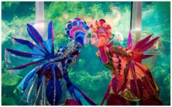 “Boek de Gekleurde Vissen Steltenlopers voor kleurrijk en betoverend entertainment. Perfect voor festivals, winkelcentra en ontvangstacts. Speels, interactief en magisch!”