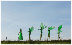 Ervaar magie en natuurlijke betovering met het betoverende bos van Levende Groene Bomen Steltenlopers. Boek nu voor een unieke ervaring vol magie en natuurpracht.