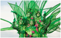 Ervaar magie en natuurlijke betovering met het betoverende bos van Levende Groene Bomen Steltenlopers. Boek nu voor een unieke ervaring vol magie en natuurpracht.