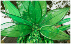 Ervaar magie en natuurlijke betovering met het betoverende bos van Levende Groene Bomen Steltenlopers. Boek nu voor een unieke ervaring vol magie en natuurpracht.