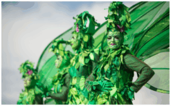 Ervaar magie en natuurlijke betovering met het betoverende bos van Levende Groene Bomen Steltenlopers. Boek nu voor een unieke ervaring vol magie en natuurpracht.