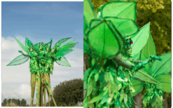 Ervaar magie en natuurlijke betovering met het betoverende bos van Levende Groene Bomen Steltenlopers. Boek nu voor een unieke ervaring vol magie en natuurpracht.