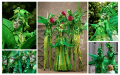 Ervaar magie en natuurlijke betovering met het betoverende bos van Levende Groene Bomen Steltenlopers. Boek nu voor een unieke ervaring vol magie en natuurpracht.