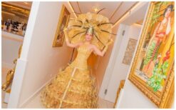 Verrijk uw evenement met de Rijdende Champagne Jurk: mobiele catering in stijl! Aanpasbaar aan elk thema.