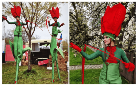 Tulpen Steltenlopers - Afbeelding 4