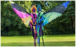 Vanuit de verte verschijnen ze… en meteen is alle aandacht gevangen. De Kleurige Vogels op Stelten zweven elegant boven het publiek met glanzende veren en sierlijke bewegingen. Hun kleurrijke verschijning creëert direct een magische, exotische sfeer. Speels, interactief en vol verrassingen. Ze zoeken contact met het publiek en zorgen voor vrolijke momenten en verwondering. Een lichte, betoverende act die perfect is voor ontvangst, festivals en winkelcentra.