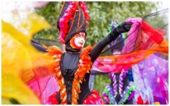 Vanuit de verte verschijnen ze… en meteen is alle aandacht gevangen. De Kleurige Vogels op Stelten zweven elegant boven het publiek met glanzende veren en sierlijke bewegingen. Hun kleurrijke verschijning creëert direct een magische, exotische sfeer. Speels, interactief en vol verrassingen. Ze zoeken contact met het publiek en zorgen voor vrolijke momenten en verwondering. Een lichte, betoverende act die perfect is voor ontvangst, festivals en winkelcentra.