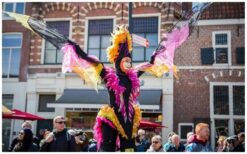 Vanuit de verte verschijnen ze… en meteen is alle aandacht gevangen. De Kleurige Vogels op Stelten zweven elegant boven het publiek met glanzende veren en sierlijke bewegingen. Hun kleurrijke verschijning creëert direct een magische, exotische sfeer. Speels, interactief en vol verrassingen. Ze zoeken contact met het publiek en zorgen voor vrolijke momenten en verwondering. Een lichte, betoverende act die perfect is voor ontvangst, festivals en winkelcentra.