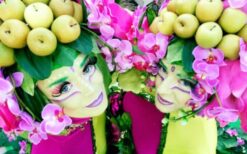 Kleurrijke lente parade met bloemendames en feetjes op stelten. Deze vrolijke mobiele act brengt direct een frisse lentesfeer op festivals, winkelcentra, braderieën en evenementen met een bloemen- of lentethema.