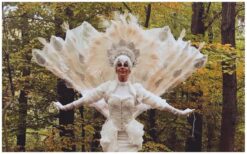 Elegante Witte Pauwen Steltenlopers STE-5187-039 Prima Entertainment 1