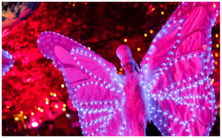Witte Vlinders Steltenlopers By Night - Afbeelding 2