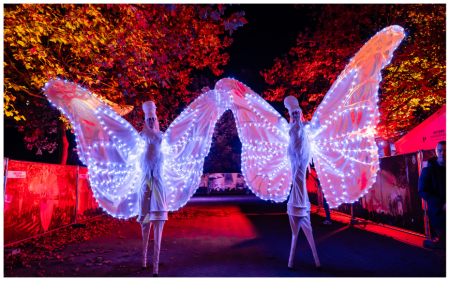 Witte Vlinders Steltenlopers By Night - Afbeelding 3
