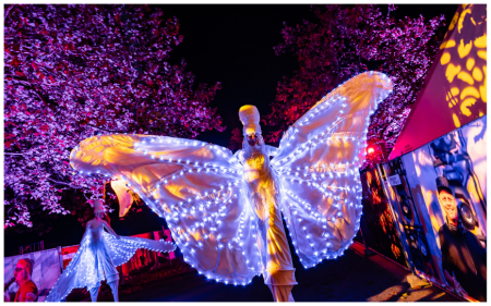 Witte Vlinders Steltenlopers By Night - Afbeelding 4