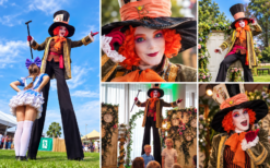 Een spectaculaire Mad Hatter op stelten, geïnspireerd op de kleurrijke wereld van Alice in Wonderland. Vanuit grote hoogte verrast en vermaakt hij uw gasten met zijn excentrieke uitstraling en interactieve karakter. Aantal spelers: 1 steltenloper Speeltijd: 3 x 30 minuten OF 2 x 45 minuten OF 1 x 60 minuten binnen 4 uur. Excl. reiskosten € 0,45 per km, afhankelijk van de woonplaats van de artiest. Minimaal 1 uur voor aanvang van het optreden aanwezig op locatie. Ook te boeken als grondspeler zonder stelten. Uit te breiden met meerdere Wonderland-thema entertainers voor een complete Wonderland-beleving.