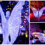 De Witte Vlinders By Night betoveren met verlichte vleugels en sierlijke bewegingen. Perfect voor festivals, feesten en parades. Een magisch nachtelijk spektakel!