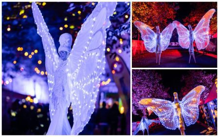 De Witte Vlinders By Night betoveren met verlichte vleugels en sierlijke bewegingen. Perfect voor festivals, feesten en parades. Een magisch nachtelijk spektakel!