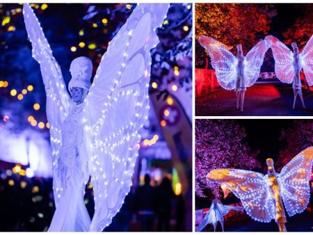 De Witte Vlinders By Night betoveren met verlichte vleugels en sierlijke bewegingen. Perfect voor festivals, feesten en parades. Een magisch nachtelijk spektakel!
