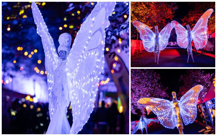 De Witte Vlinders By Night betoveren met verlichte vleugels en sierlijke bewegingen. Perfect voor festivals, feesten en parades. Een magisch nachtelijk spektakel!