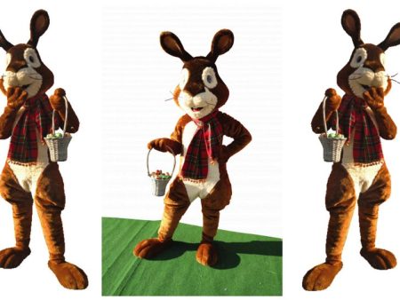 Ontmoet de echte Paashaas! 🎉 Hij deelt chocolade-eitjes uit en brengt feestelijke paaspret op uw evenement, winkelcentrum of promotieactie. 🐰🥚