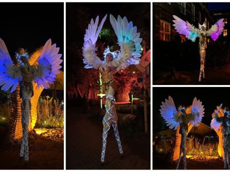 Betoverende Winter Godinnen op stelten met LED-vleugels! Magisch winterentertainment voor festivals, kerstmarkten en events. Een echte blikvanger! ❄